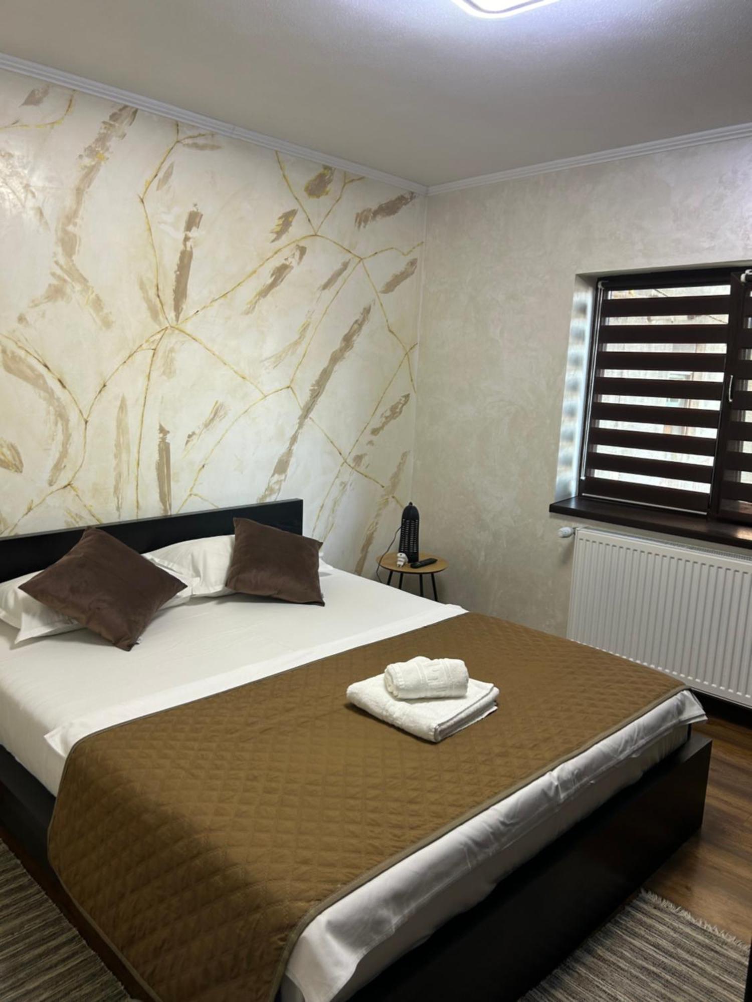 Guest House Târgu Jiu Εξωτερικό φωτογραφία